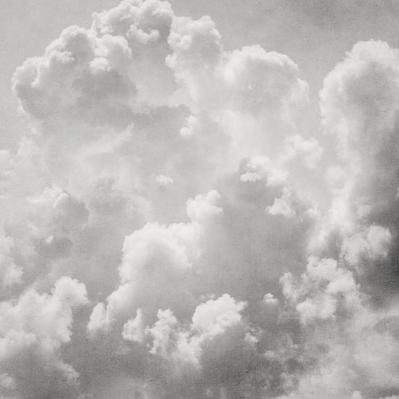 Meet your Posher, Grace - Picture 1 of 1